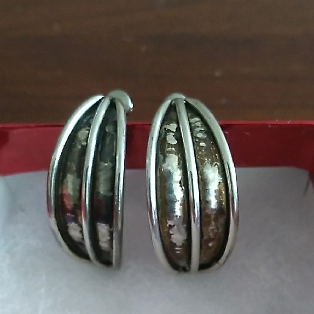 Hammered Metalic Silver Earrings